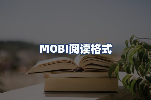 MOBI阅读格式